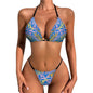 Fiiji Masi 2-Piece Bikini Swimwear 2